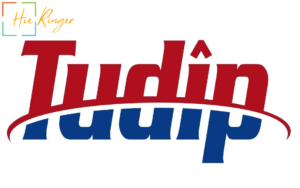 Tudip Digital Hiring Freshers